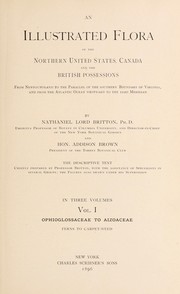 Cover of: An illustrated flora of the Northern United States, Canada and the British possessions, Vol. I: Apocynaceae to compositae