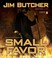Cover of: Small Favor