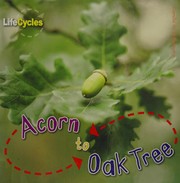 Cover of: Acorn to oak tree