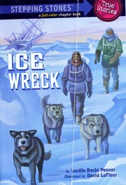 Ice Wreck by Lucille Recht Penner