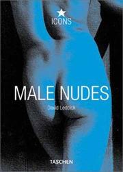 Cover of: Male Nudes (Icons) by David Leddick