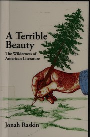 Cover of: A terrible beauty: the wilderness of American literature