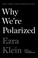Cover of: Why We're Polarized