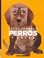 Cover of: Perros y gatos