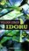 Cover of: Idoru