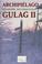 Cover of: Archipielago Gulag 2