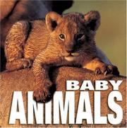 Cover of: Baby Animals (Cube Books)
