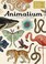 Cover of: Animalium