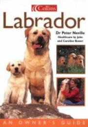 Labrador : an owner's guide