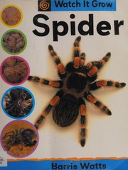 Cover of: Spider by Barrie Watts