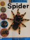 Cover of: Spider