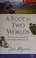 Cover of: A foot in two worlds