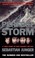 Cover of: The Perfect Storm