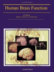 Human brain function