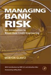 Managing bank risk : an introduction to broad-base credit engineering