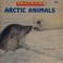 Cover of: A picture book of arctic animals