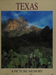 Cover of: Texas: Picture Memory