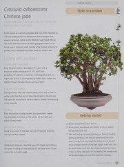 Cover of: Successful bonsai