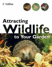 Attracting wildlife to your garden