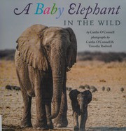 Cover of: A baby elephant in the wild