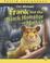 Cover of: Frank and the Black Hamster of Narkiz