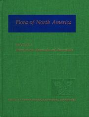 Cover of: Flora of North America: North of Mexico Volume 3: Magnoliophyta: Magnoliidae and Hamamelidae (Flora of North America: North of Mexico)