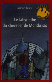 Cover of: Le labyrinthe du chevalier de Montbrisac
