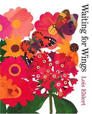 Cover of: Waiting for Wings by Lois Ehlert