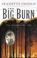 Cover of: The Big Burn