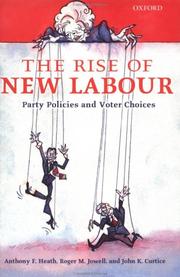 The rise of New Labour : party policies and voter choices