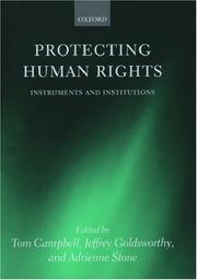 Protecting human rights : instruments and institutions