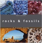 Rocks & fossils : a visual guide