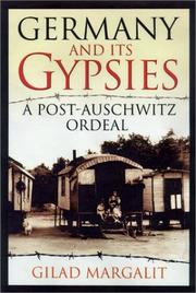 Germany and Its Gypsies by Gilad Margalit