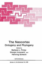 The neocortex : ontogeny and phylogeny