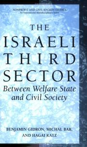 The Israeli third sector : between welfare state and civil society