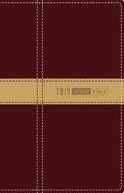Cover of: Zondervan TNIV Study Bible, Personal Size