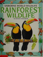 Rainforest Wildlife by Antonia Cunningham