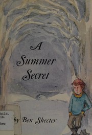 Cover of: A summer secret