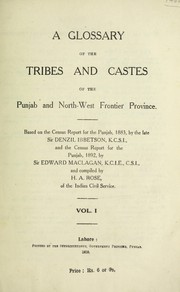 Cover of: A glossary of the tribes and castes of the Punjab and North-West Frontier Province by H. A. Rose