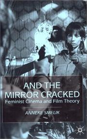 And the mirror cracked : feminist cinema and film theory