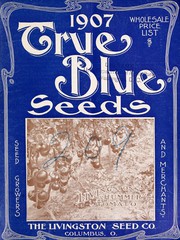 Cover of: 1907 true blue seeds: wholesale price list