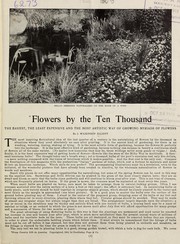 Cover of: Special and import prices for Fall of 1909: [flowers by the ten thousand]