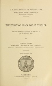 The effect of black rot on turnips by Erwin F. Smith