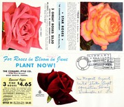 Cover of: For roses in bloom in June plant now! by Henry G. Gilbert Nursery and Seed Trade Catalog Collection