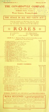 Cover of: Roses by Henry G. Gilbert Nursery and Seed Trade Catalog Collection