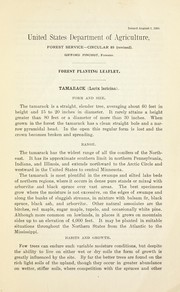 Cover of: Tamarack (Larix laricina)