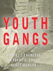 Cover of: Youth Gangs