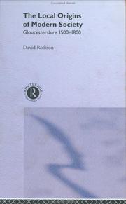 Cover of: The local origins of modern society by David Rollison
