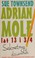 Cover of: Adrian Mole, lat 13 i 3/4