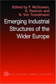 The emerging industrial structure of the wider Europe